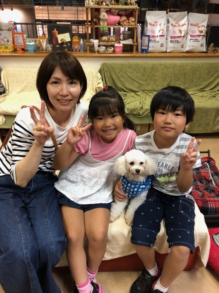 【運命の赤い糸見～つけた💓チワワのカオリちゃん💕、トイプードルのミルキーちゃん💕】